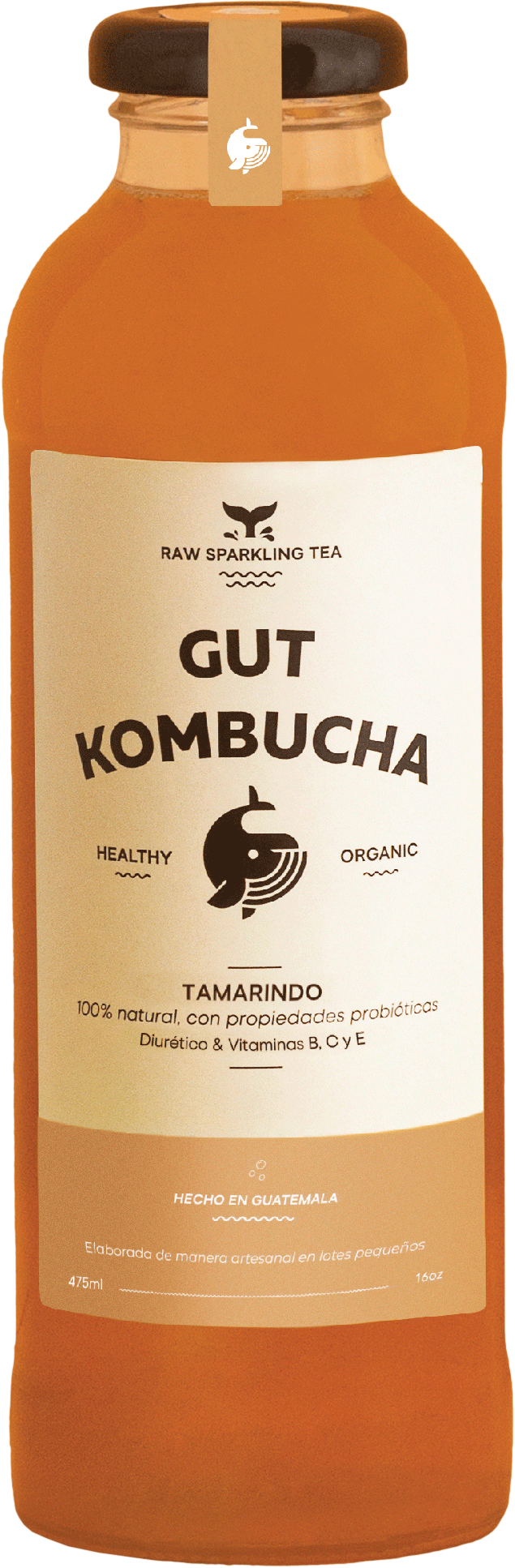 Kombucha Tamarindo